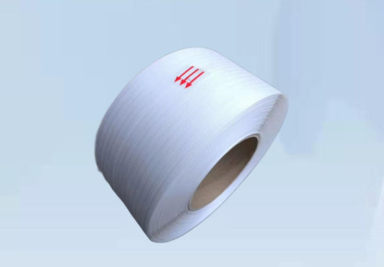 NVT Converter PP Strap Band Extrusion Line Screw Diameter 90mm