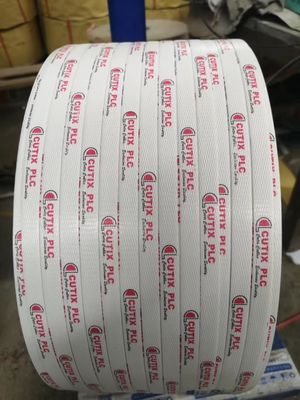 Four Cavity PP Strap Extrusion Line PP Strap Making Machine Water Cooling Tank  PP Strap Making Machine
