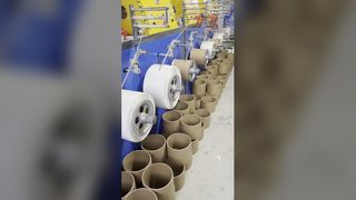 5-19MM PP çemberleme bandı paketleme kayışı